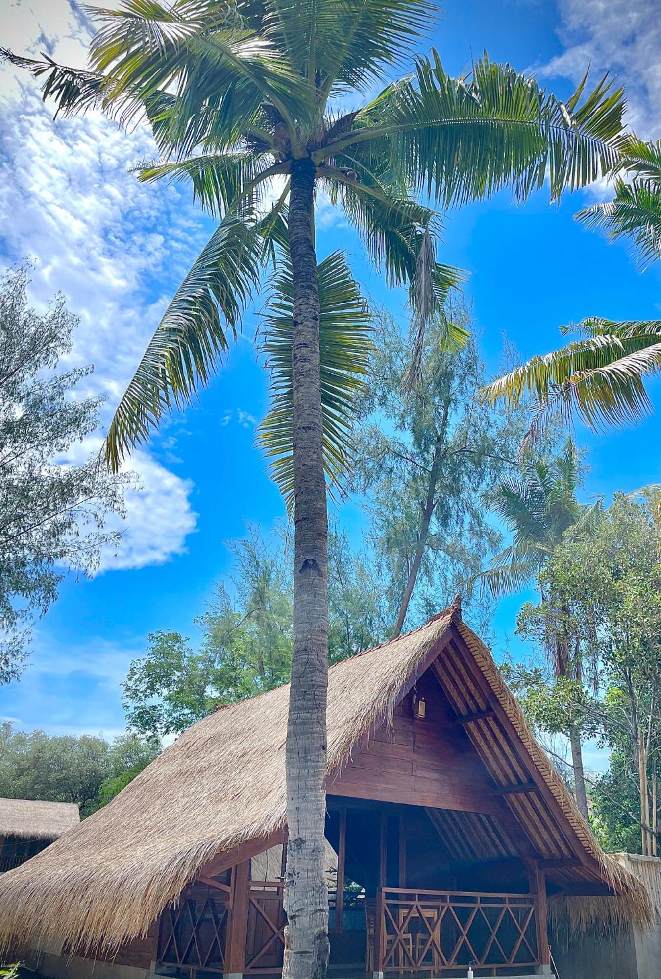 Saja Cottage, Gili Meno Dış mekan fotoğraf